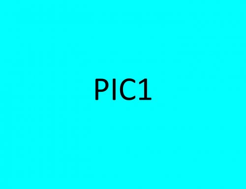 pic1