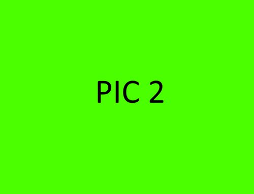 Pic2