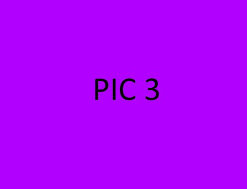 Pic3