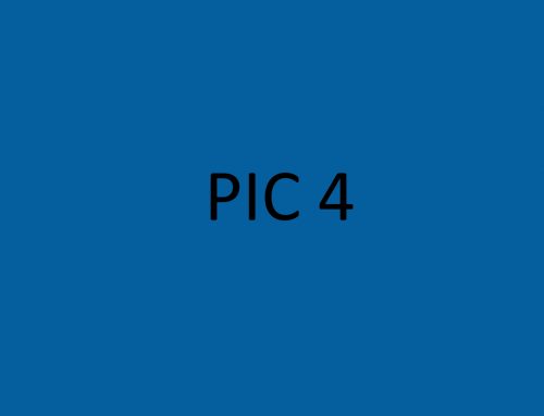 Pic4