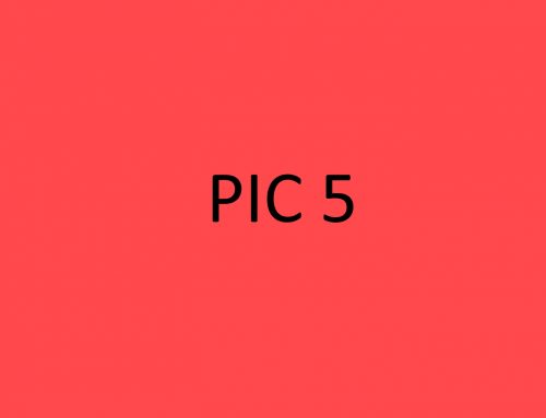 Pic5